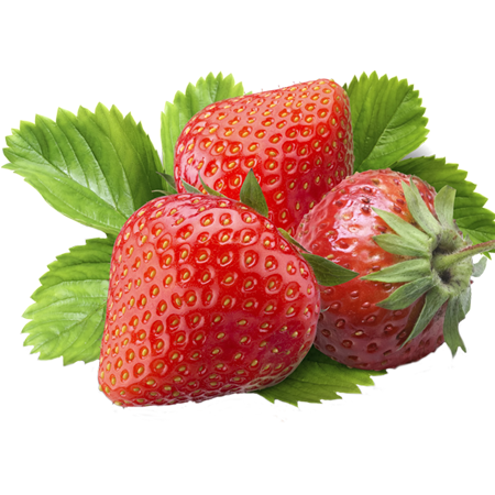Vita Food Supply