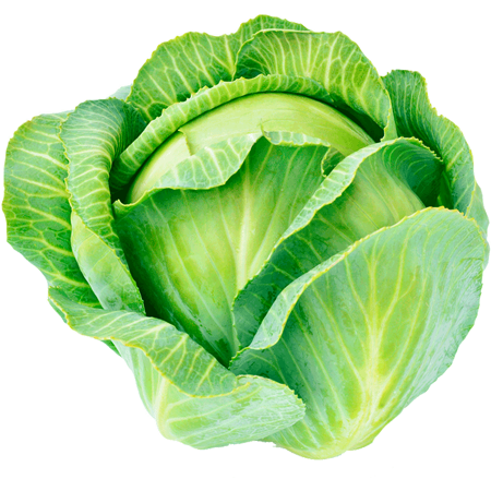 Vita Food Supply