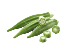 Okra