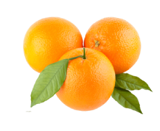 Oranges